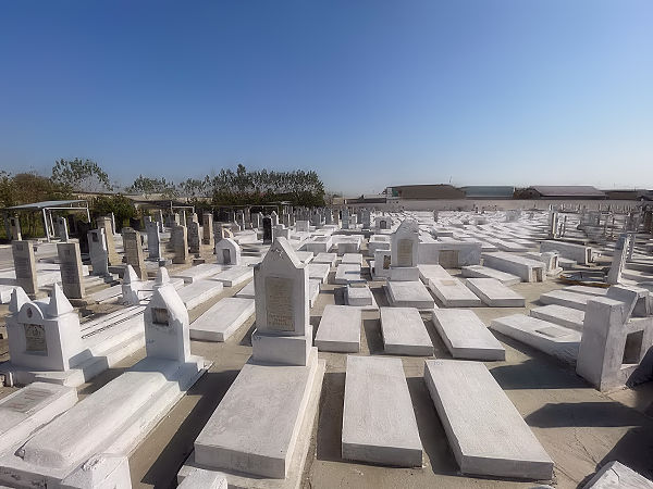 Фотоархив после реставрации